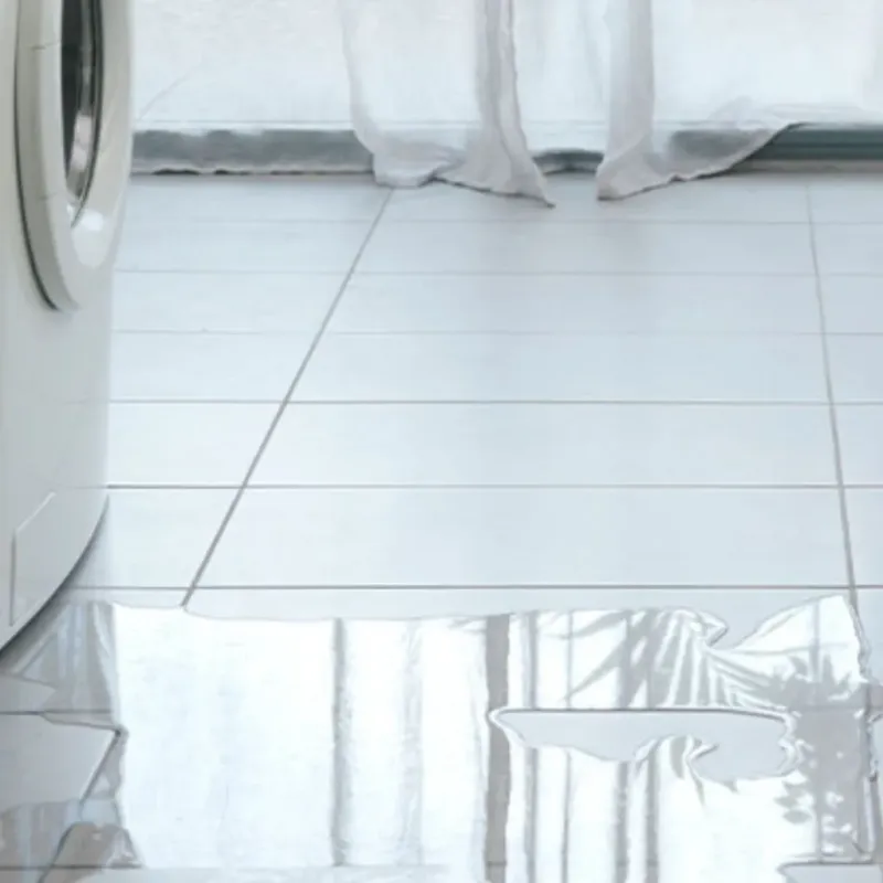 Appliance Leak Cleanup in Claiborne, LA