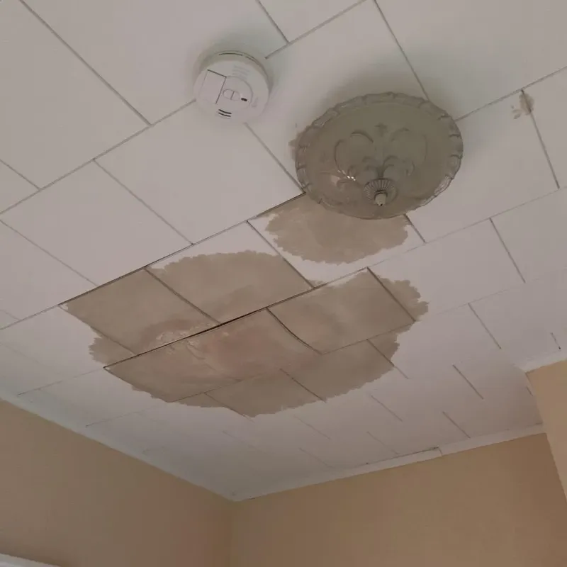 Ceiling Water Damage Repair in Claiborne, LA